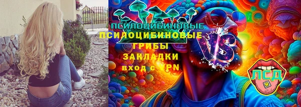 спиды Нея
